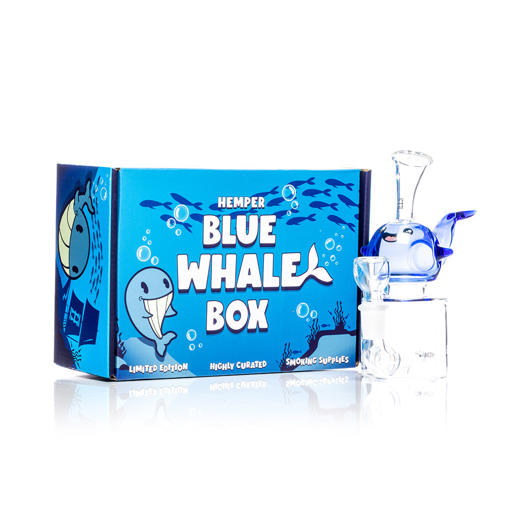 Hemper 6.5” Blue Whale Mini Bong